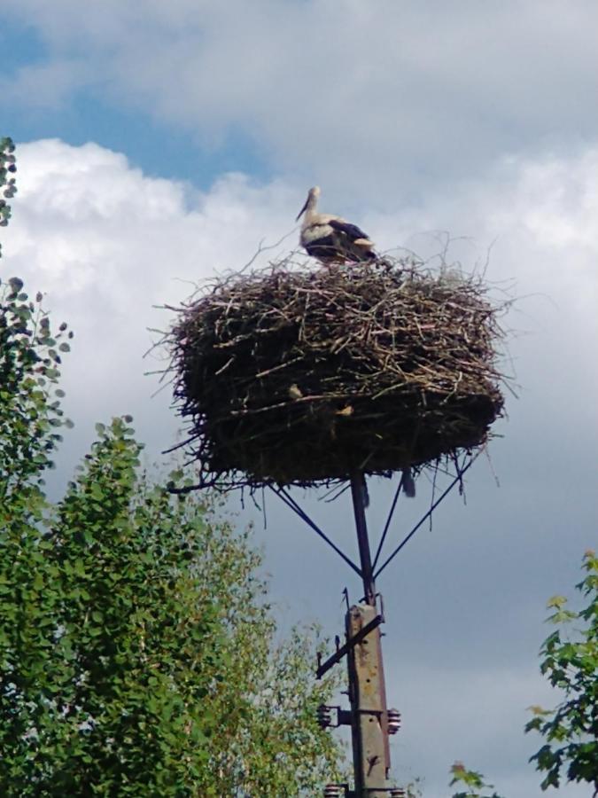 Caloroczne Leniuchowo Ponizie Esterno foto